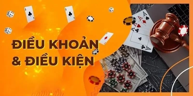 dieu-kien-dieu-khoan-3